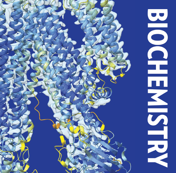 Study Guides – Everyday BioChem